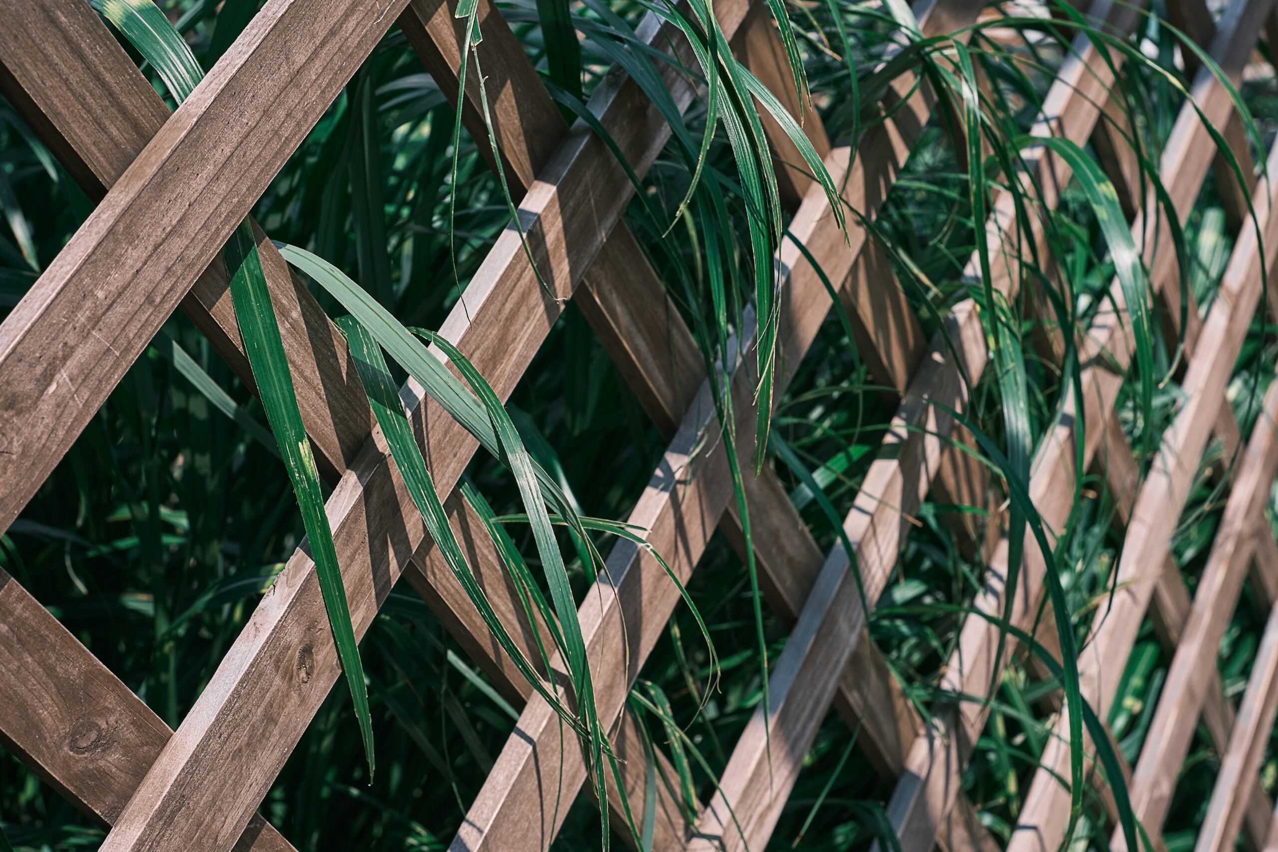 Fencing Trends for 2025 in the UK: Embracing Innovation and Sustainability