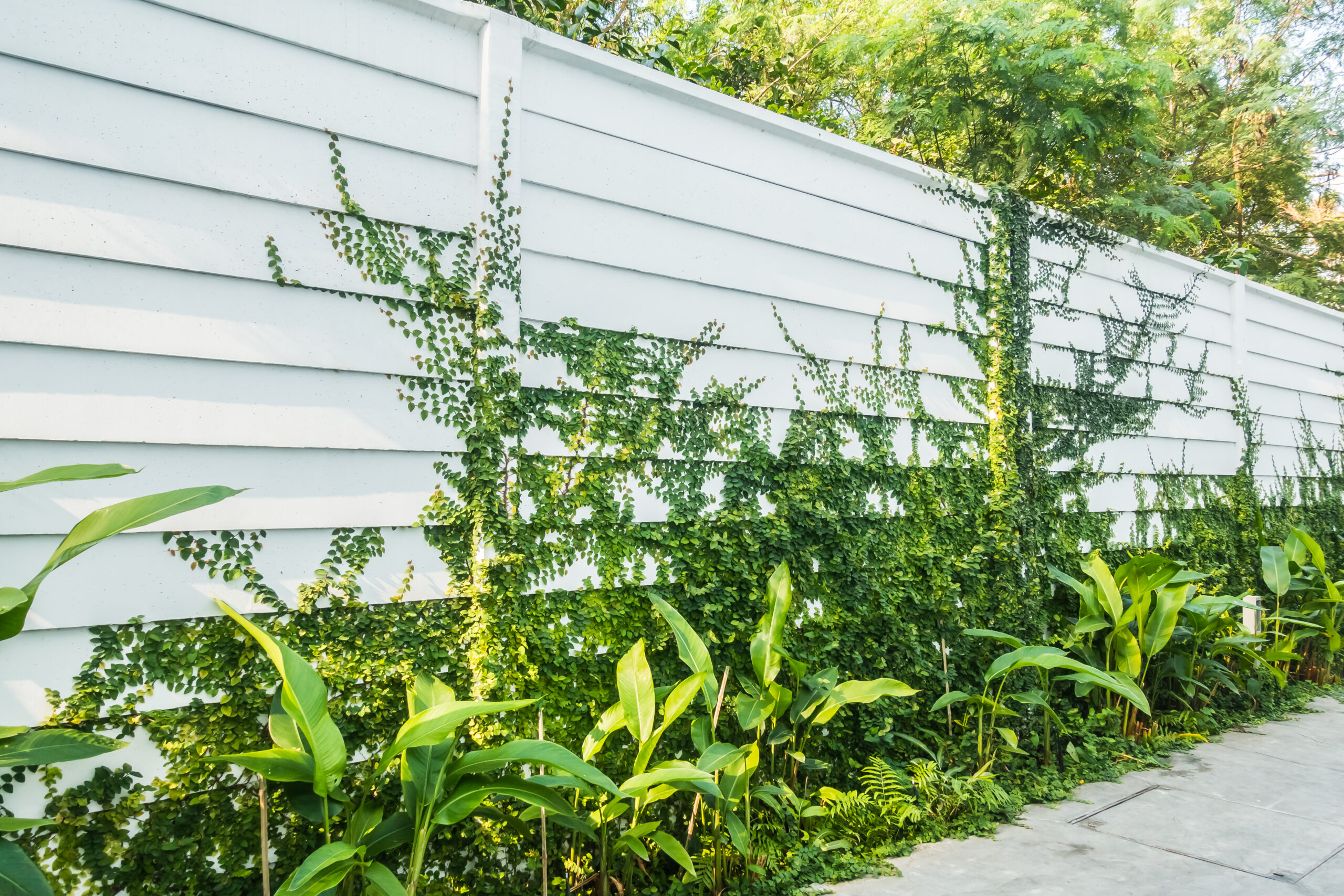 Eco-Friendly Innovations: Sustainable Choices for a Greener Future